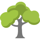 Norman Tree Removal