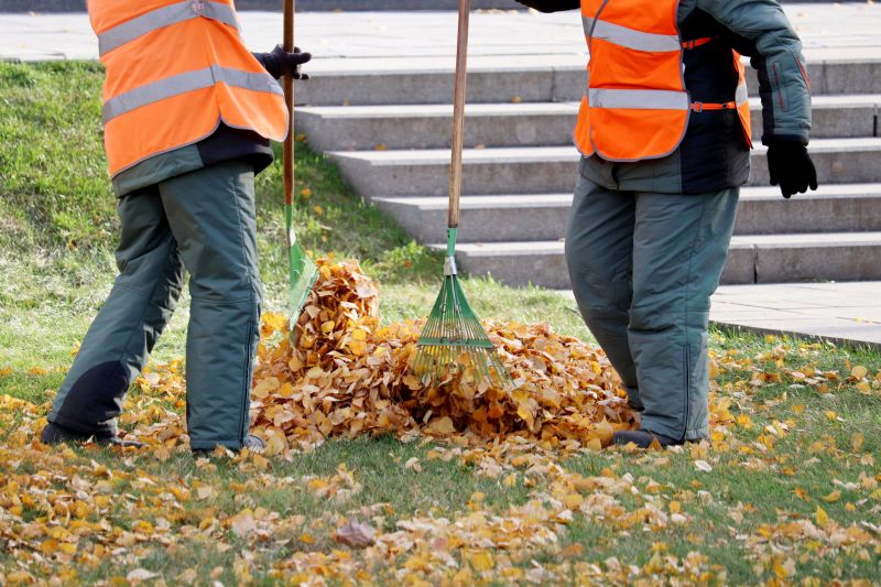 Leaf Removal Services