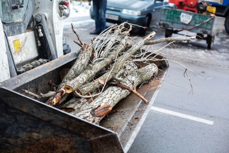 Tree Removal Equipment Information