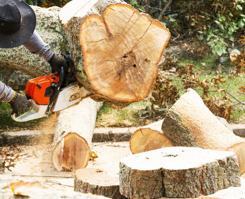 Who Provides Tree Removal in Norman OK