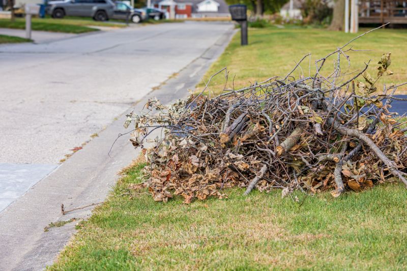 Collected Leaves Ready for Pickup