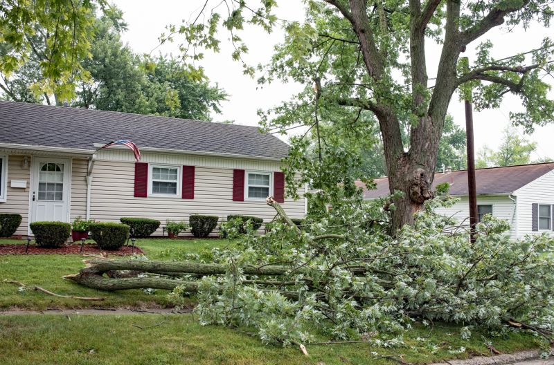 Cleared Property