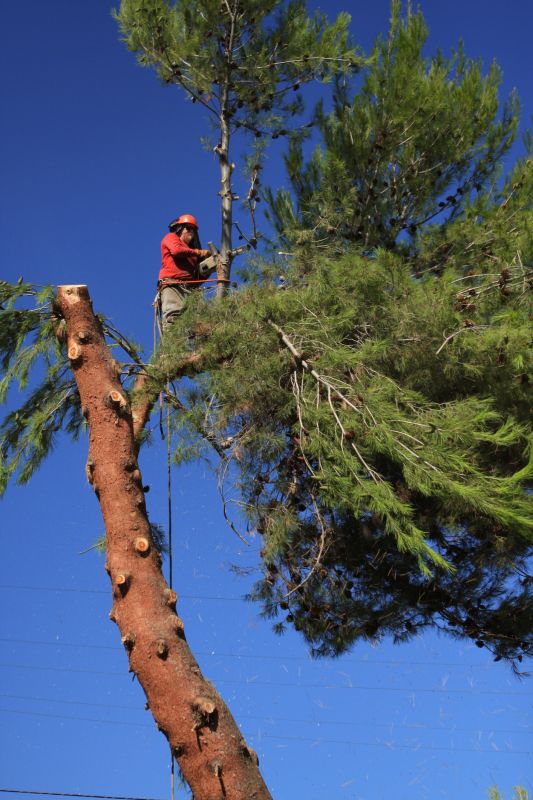 Safety Gear and Precautions